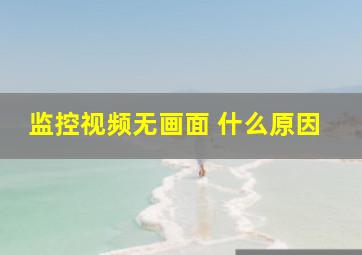 监控视频无画面 什么原因